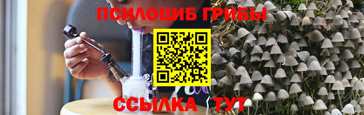 Псилоцибиновые грибы GOLDEN TEACHER  Галлюциногенные грибы мухоморы  Вход с VPN  Черногорск 